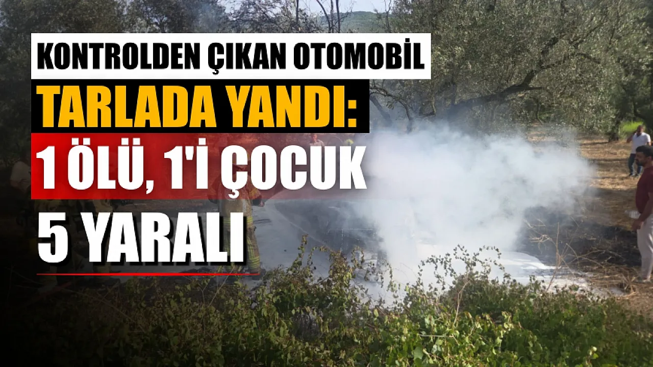 Orhangazi'de Trafik Kazası: Ölü ve Yaralılar
