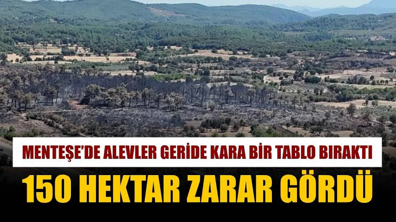 Menteşe'de alevler geride kara bir tablo bıraktı: 150 hektar zarar gördü