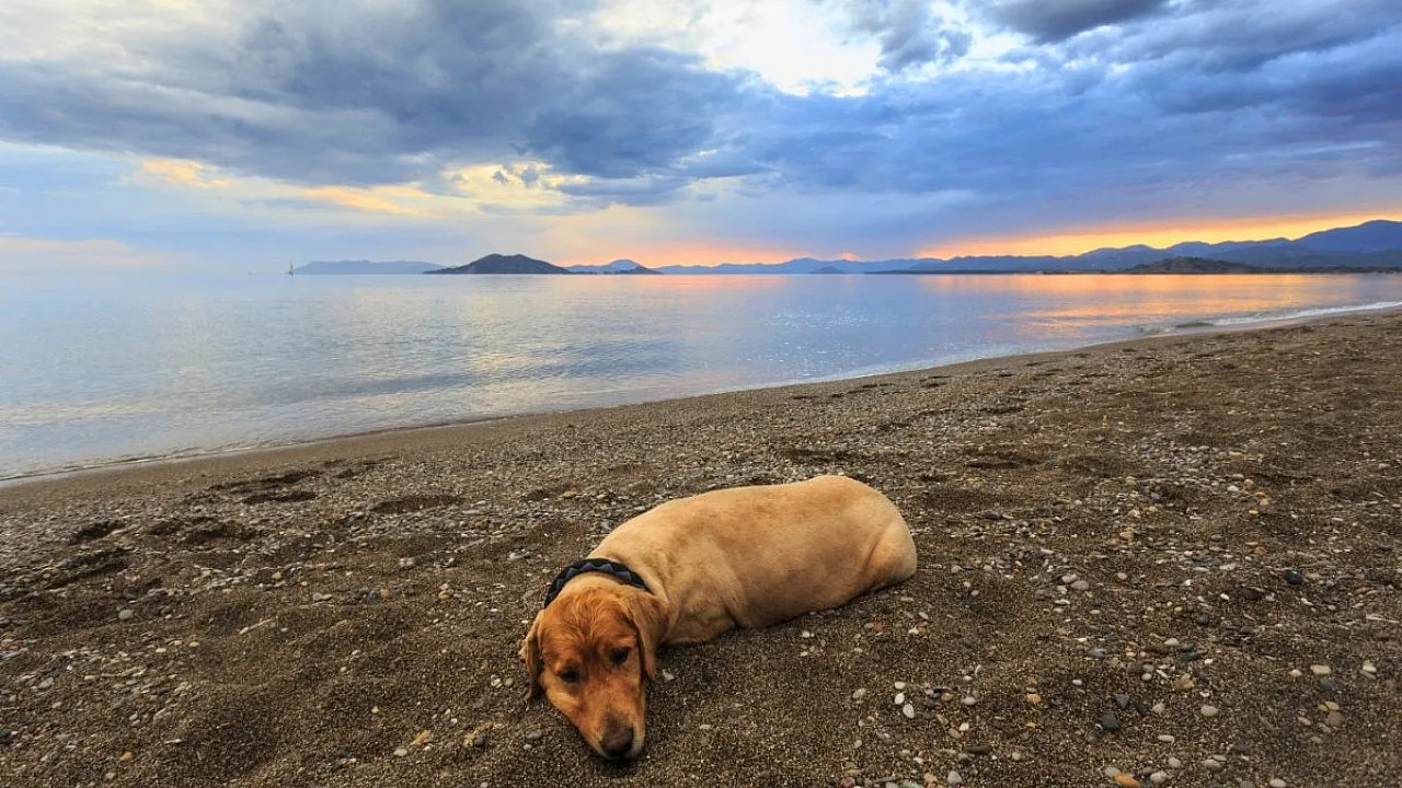 Fethiye'de 25 Nisan Cumartesi Yağmur Var mı? Saatlik Hava Durumu Detayları