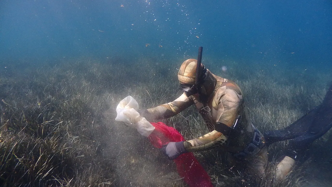 Bodrum'da deniz dibi temizliği yapıldı