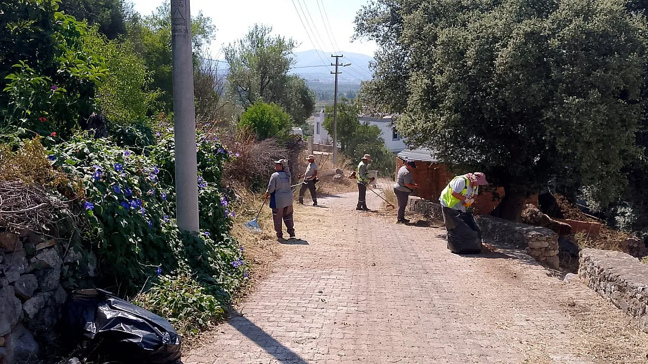 Bodrum'da ot temizliği çalışmaları Haziran ayı boyunca aralıksız sürdü