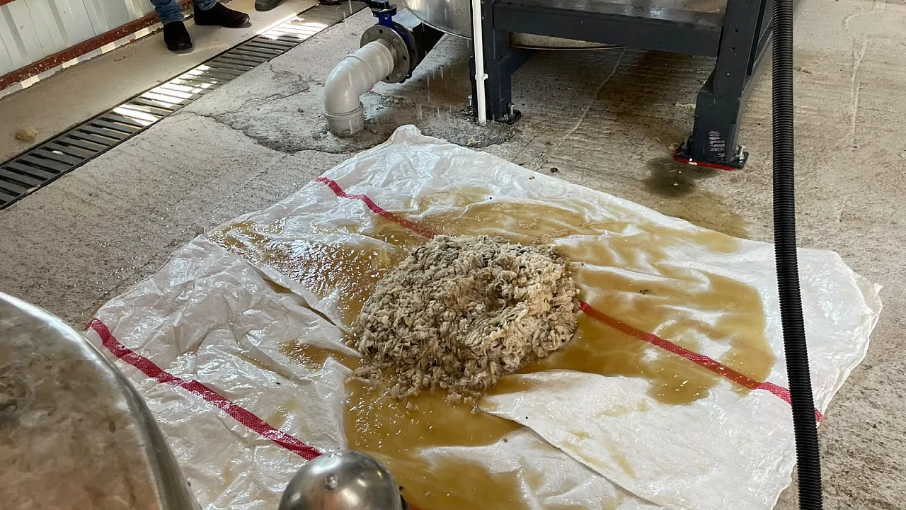 İncirköy'de yün yeniden hayat buluyor: Fethiye Likya Kadın Kooperatifi kültürel mirası geleceğe taşıyor