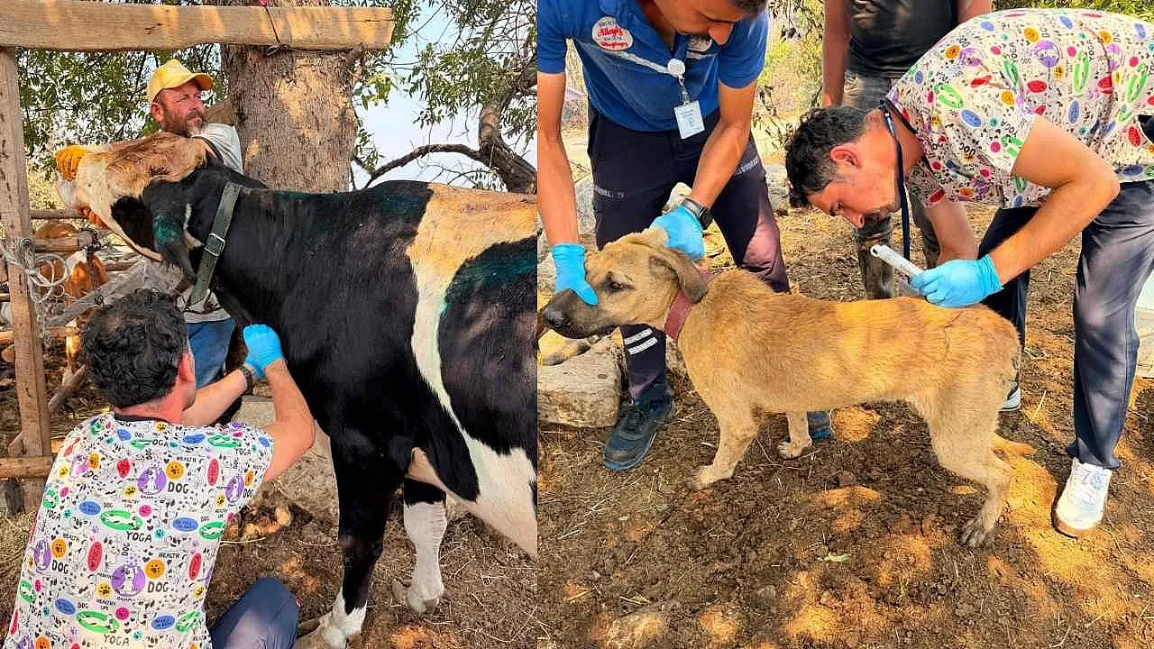 Seydikemer'de ve Fethiye'de Alevlere Karşı Ortak Mücadele