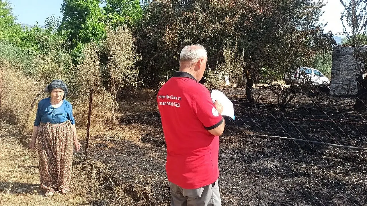 Fethiye'de orman yangınından etkilenen tarım alanlarında hasar tespiti yapılıyor