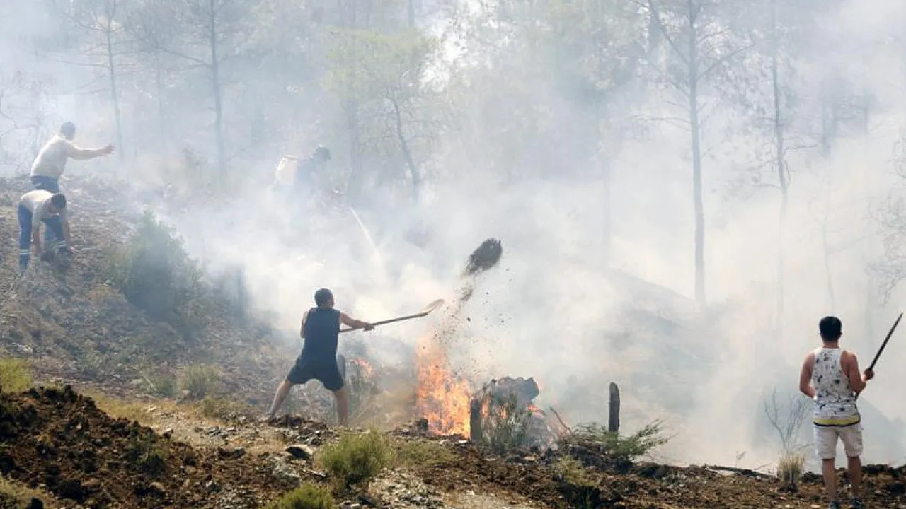 Muğla'da 'Yeşil Vatan' için vatandaşlar seferber oluyor