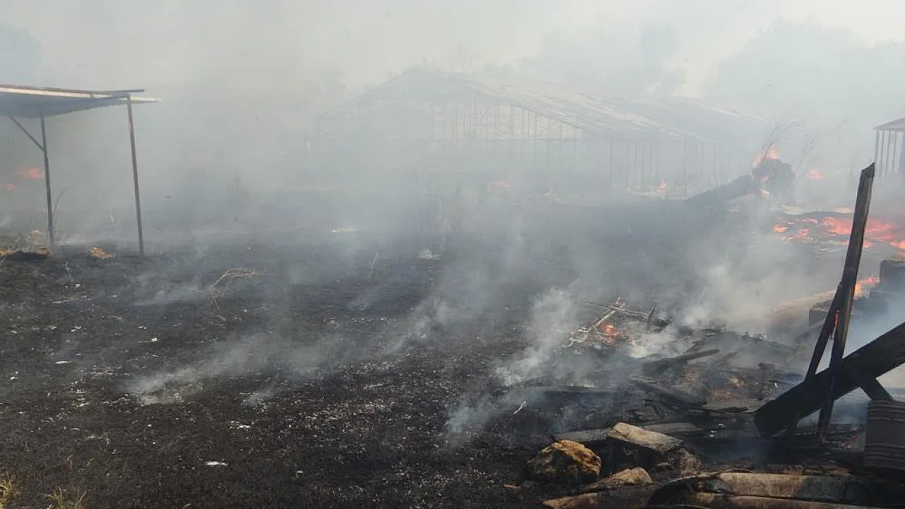 Sazlık yangınında baba yadigarı traktörünü kaybeden çiftçi gözyaşlarına boğuldu