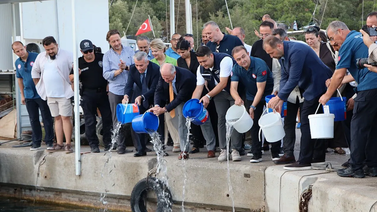 Bodrum'da 2026-2027 Su Ürünleri Av Sezonu açıldı