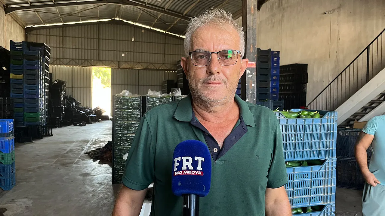 Fethiye Karaçulha Hali'nde salatalık sezonu zor başladı: Üretici de komisyoncu da kazanamıyor