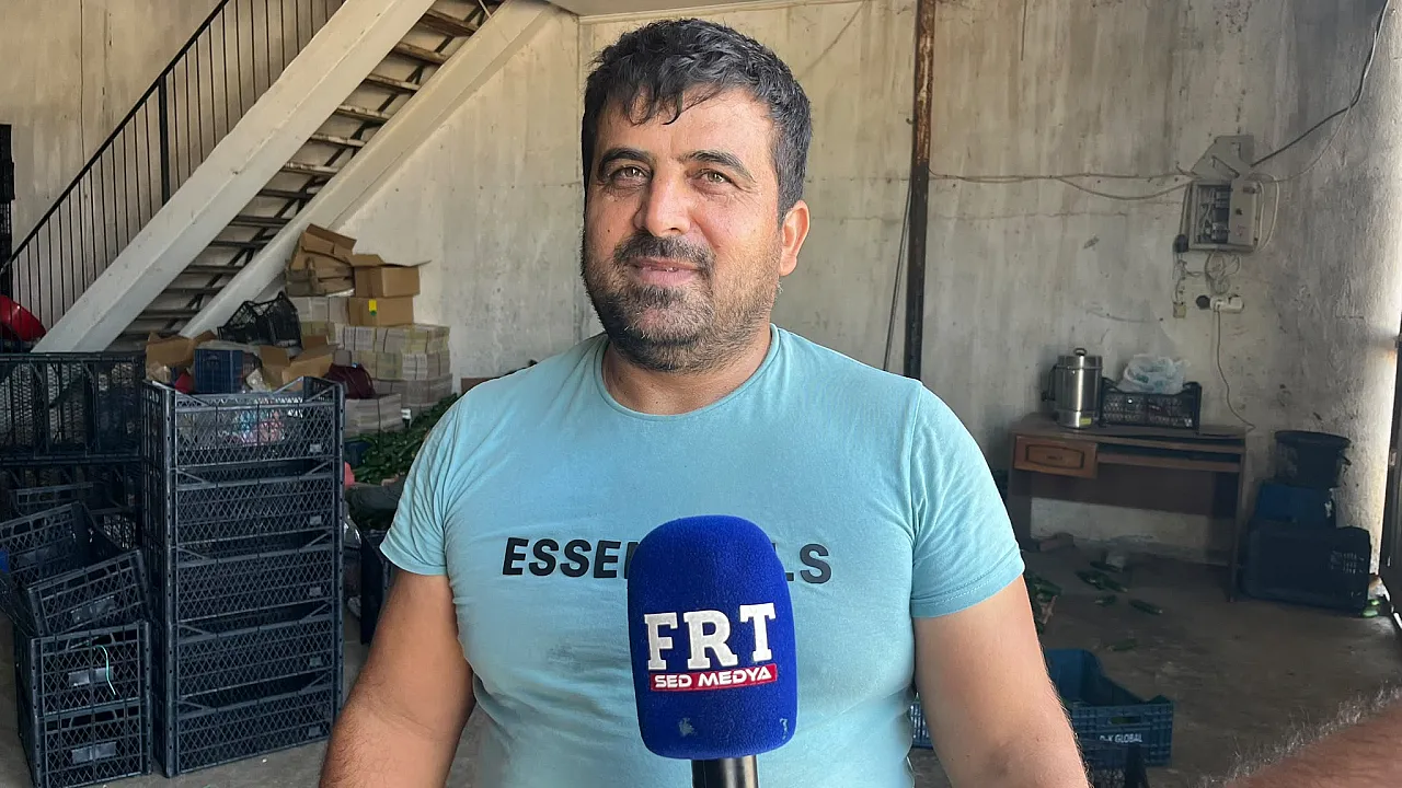Fethiye Karaçulha Hali'nde salatalık sezonu zor başladı: Üretici de komisyoncu da kazanamıyor