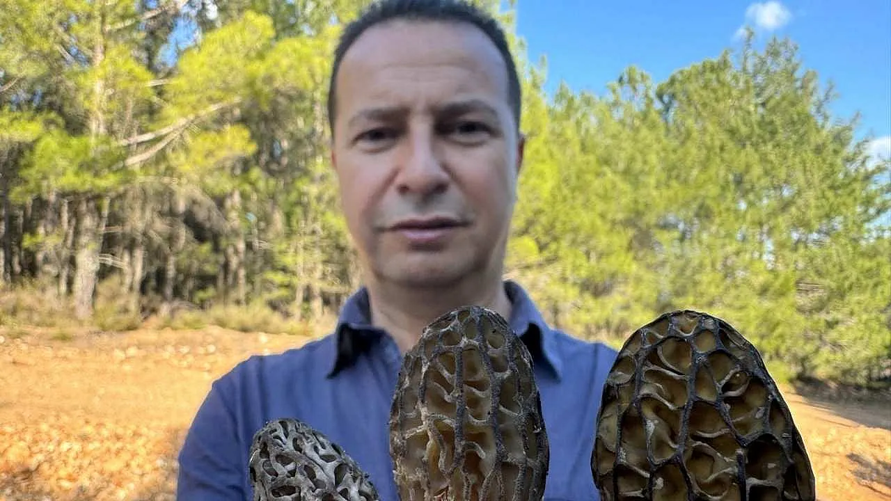 Fethiye kuzugöbeği tescillendi, şimdi gözler sürdürülebilirlikte