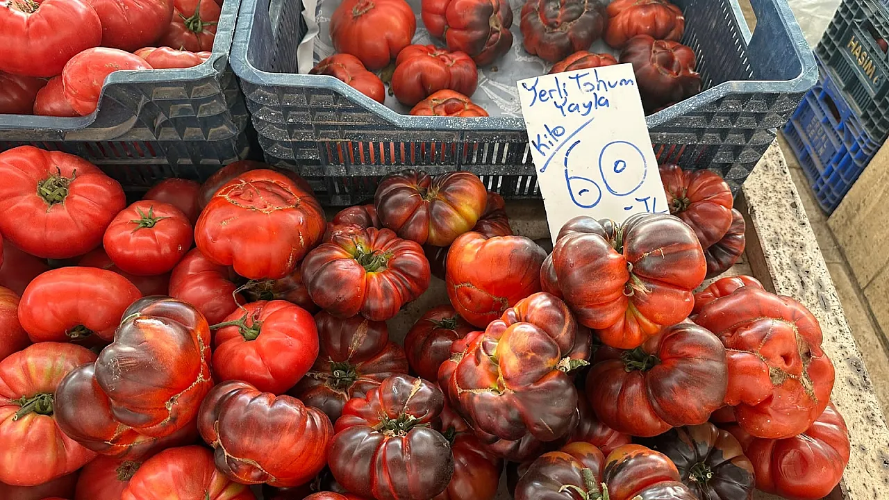 Fethiye'de Tarlaların Yeni Rengi: Çikolata Domates