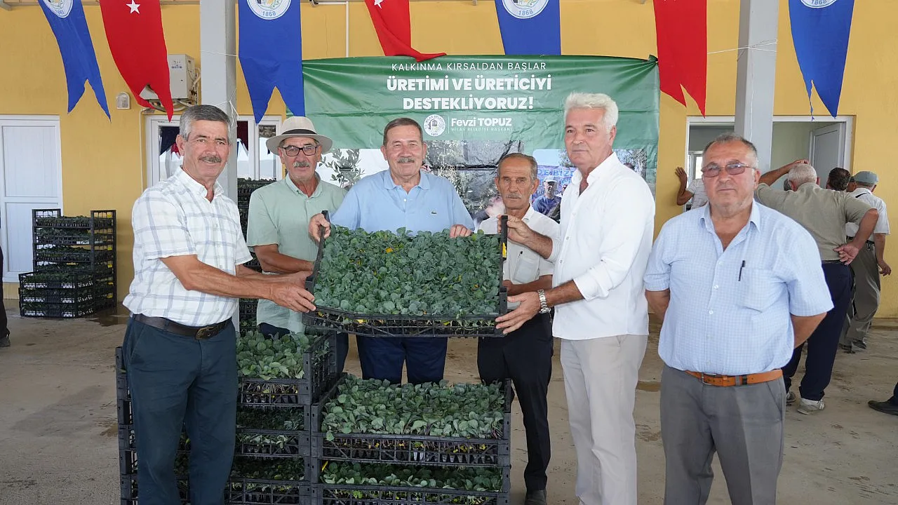 Milas Belediyesi Kışlık Sebze Fidelerini Üreticilerle Buluşturdu