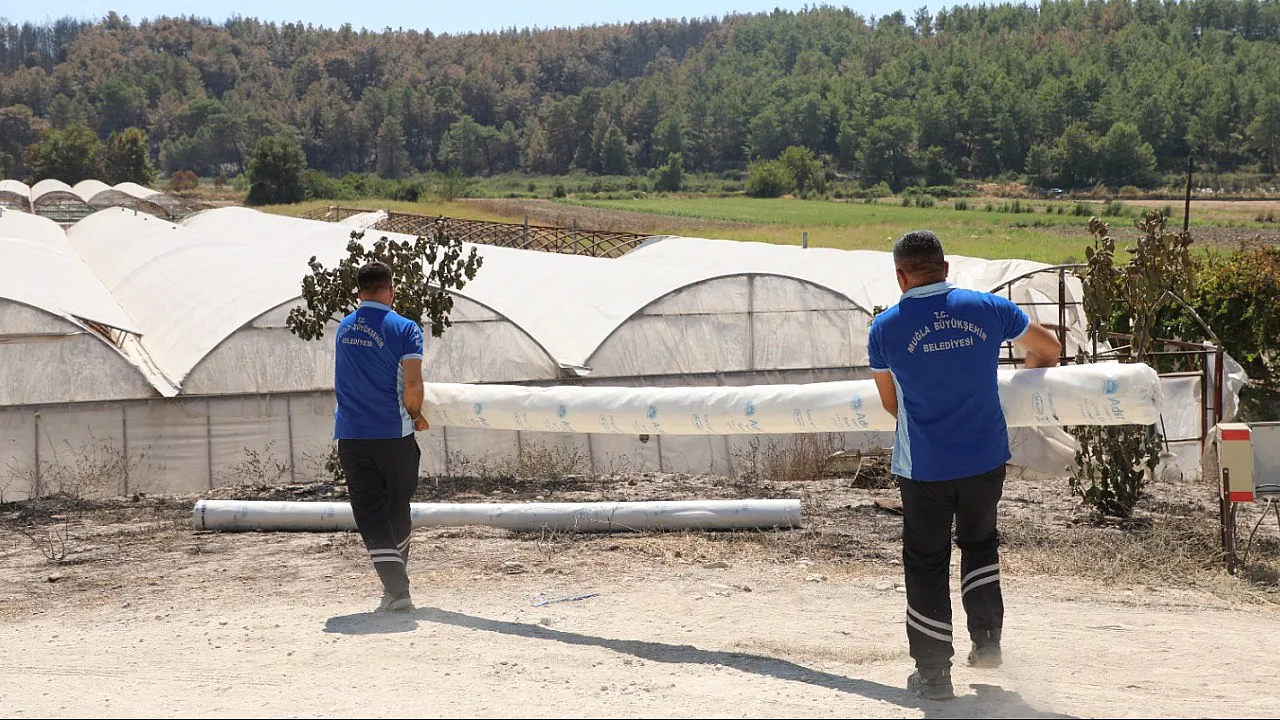 Seydikemer'de Yangının Yaraları Bir Günde Sarılmaya Başlandı