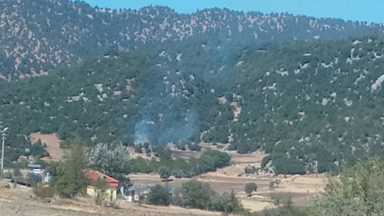 Seydikemer'de zirai alanda çıkan yangın söndürüldü