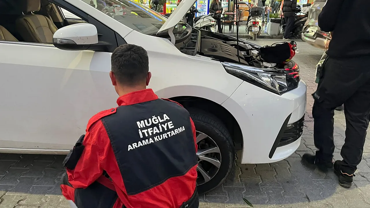 Fethiye'de kaputa giren kedi için seferber oldular