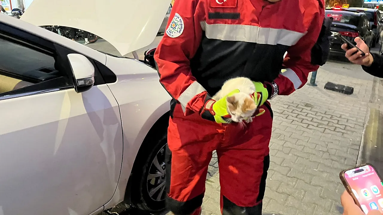 Fethiye'de kaputa giren kedi için seferber oldular