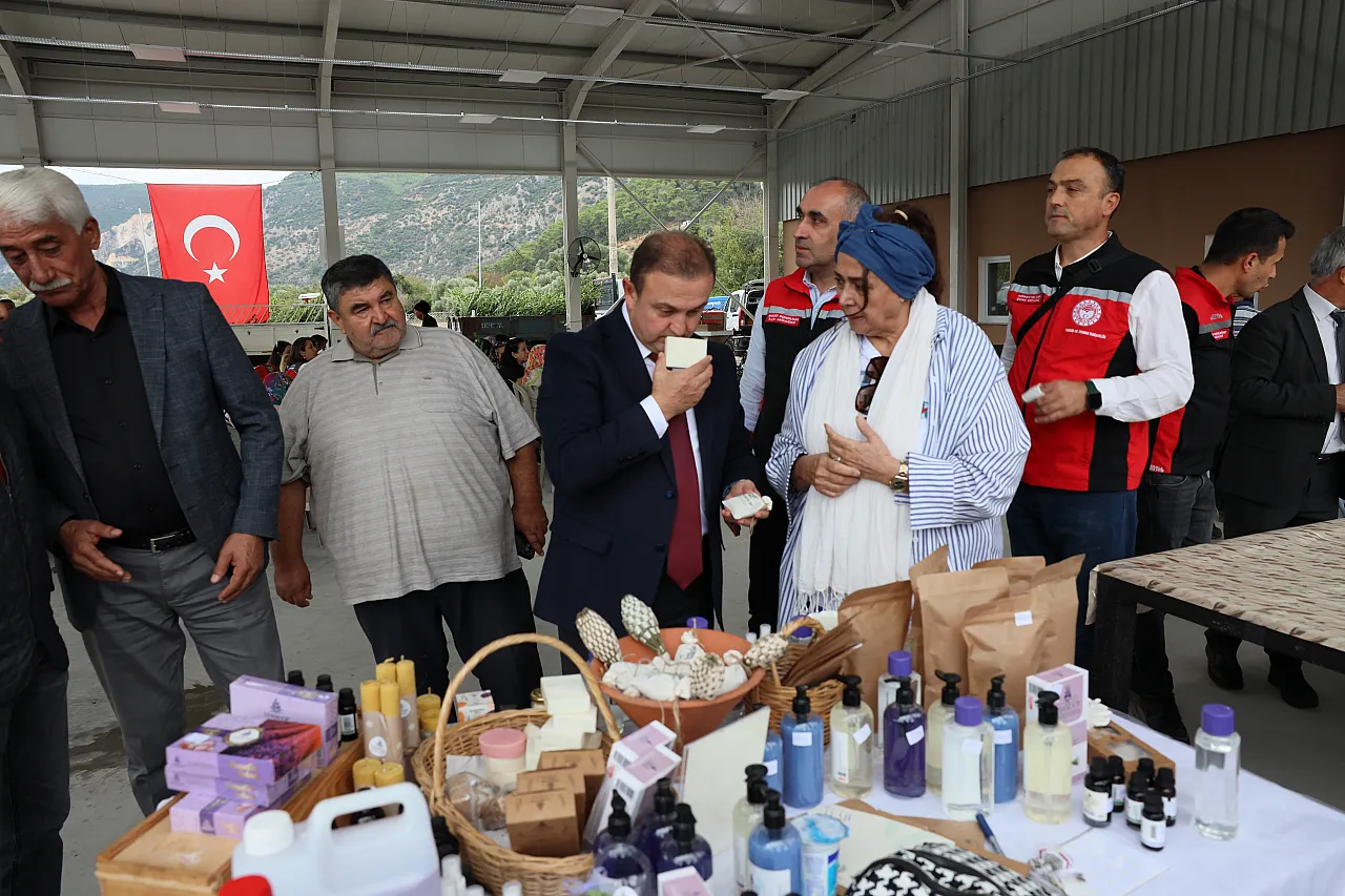 Muğla'da Defne ihracatından 75 milyon dolar bekleniyor