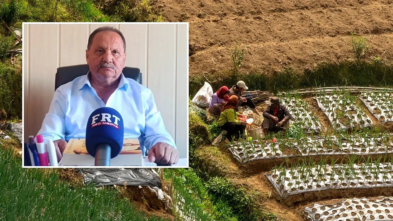 Fethiye'de domates fiyatları üreticiyi memnun etti: Gözler girdi maliyetlerinde