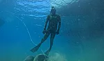 Bodrum açıklarında 40 metre derinliğe uzanan kesintisiz deniz çayırı kuşağı belirlendi