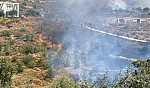 Bodrum'da makilik yangını