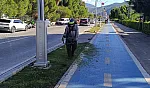 Fethiye Sahil Bandında Ot ve Çim Biçme Çalışmaları Sürüyor