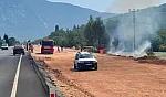 Menteşe'de otluk alanda çıkan yangın söndürüldü