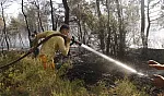 Muğla'da ateş savaşçılarının bölgedeki çalışmaları sürüyor