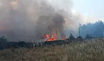 Muğla'daki orman yangınında 1 kişi gözaltına alındı