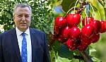 Nif Kirazı'na Coğrafi İşaret Müjdesi