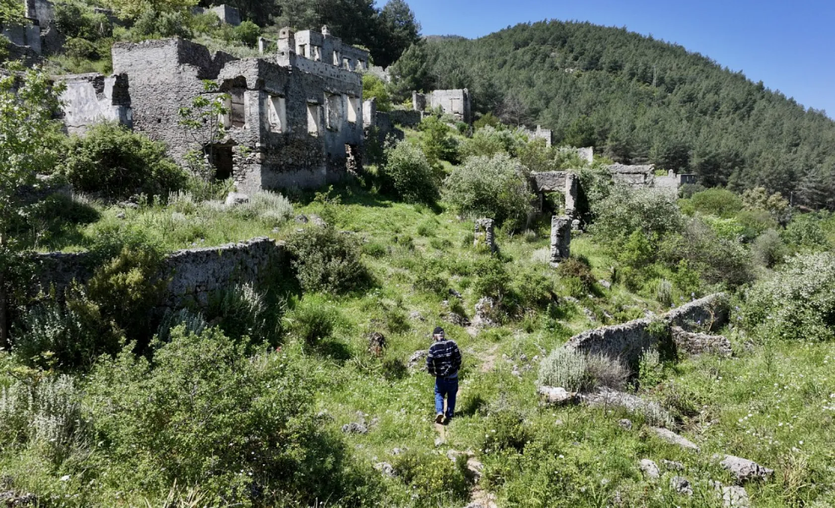 Muğla'da emekli eczacının doğa tutkusu yeni bitki türlerinin keşfini sağlıyor