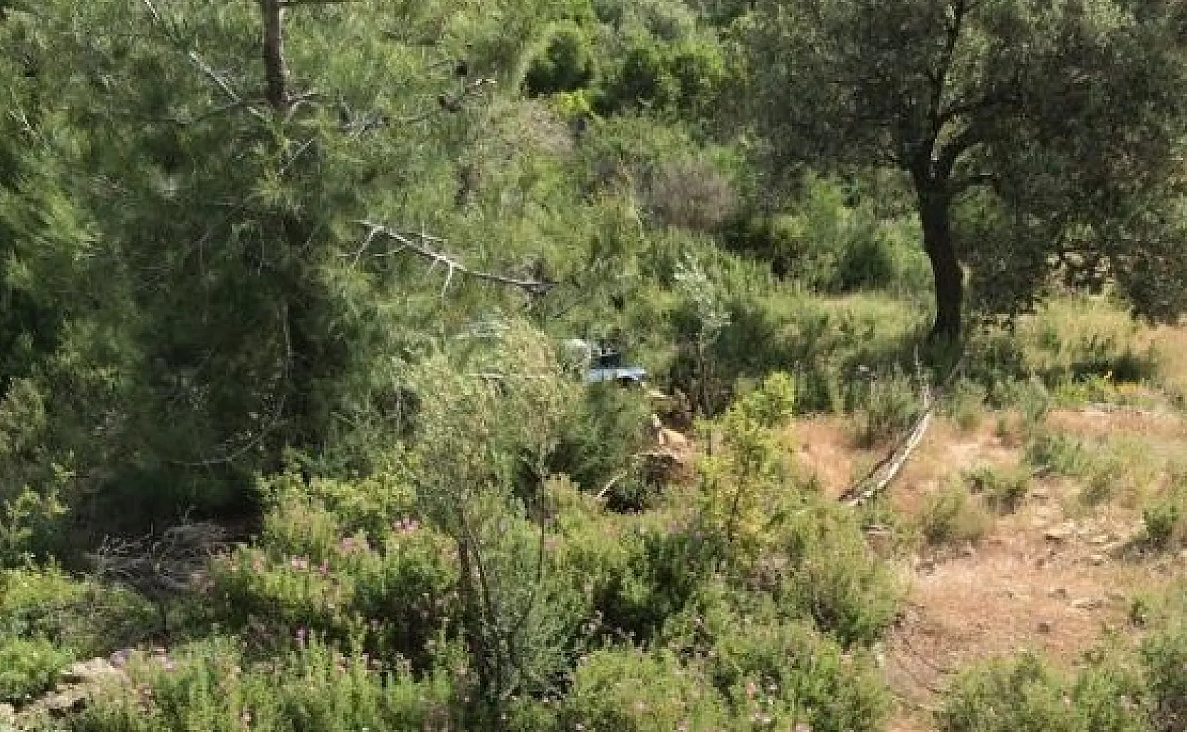 Muğla'da Traktör uçuruma yuvarlandı, 1 kişi hayatını kaybetti