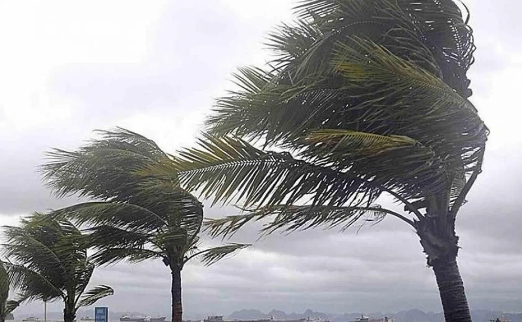 Muğla'da sel ve fırtına uyarısı