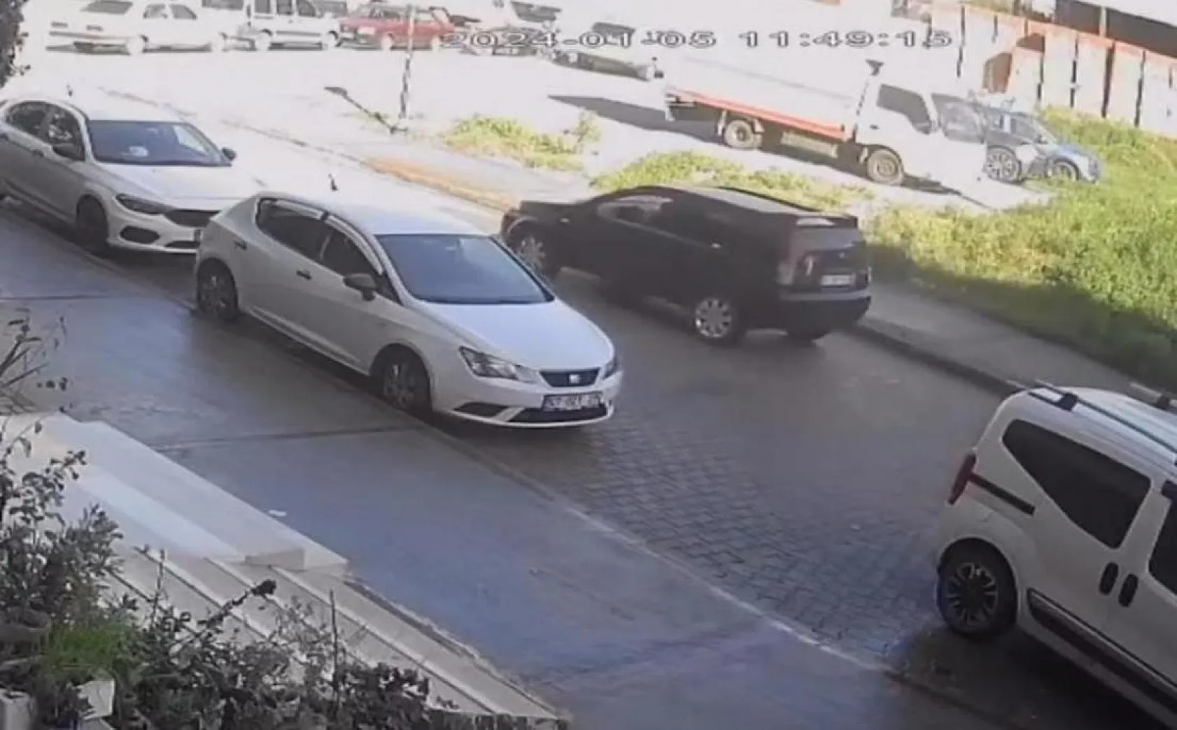 Otomobilin çarpıp kaçtığı kedi, sahibinin kucağında öldü
