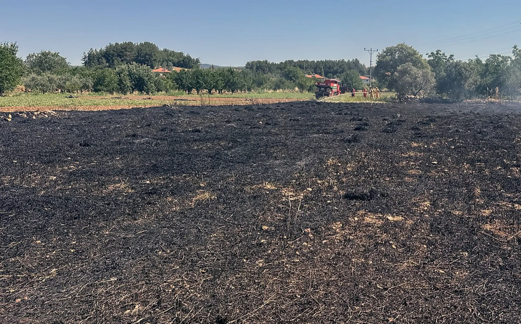 Menteşe'de arazi yangınları büyümeden söndürüldü
