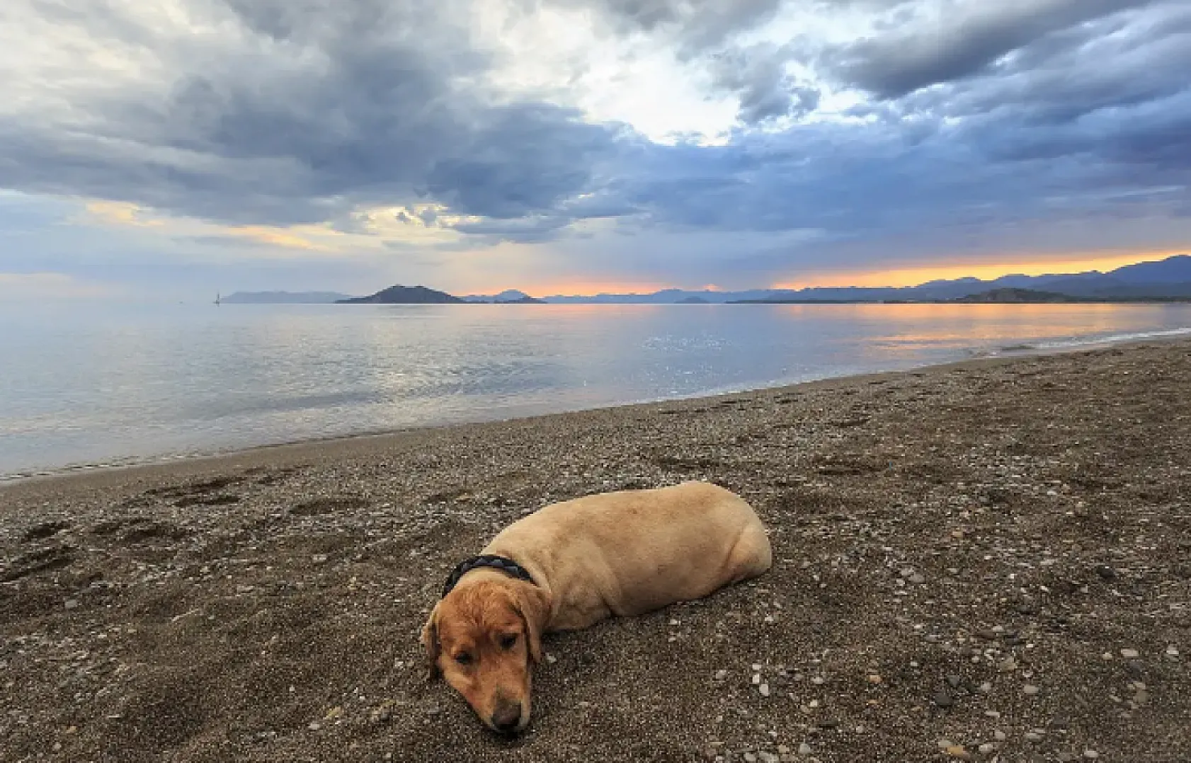 Fethiye: Maviden Yeşile Uzanan Bir Yolculuk