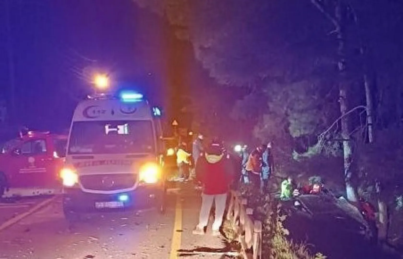 Yoldan çıkan otomobil ağaca çarptı: 1 ölü