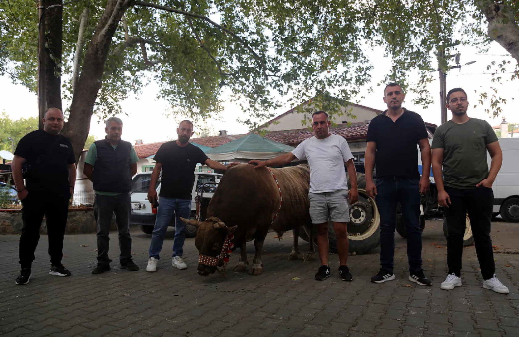 Muğla'da boğa güreşinden elde edilen gelir hasta ve engelliler için kullanıldı