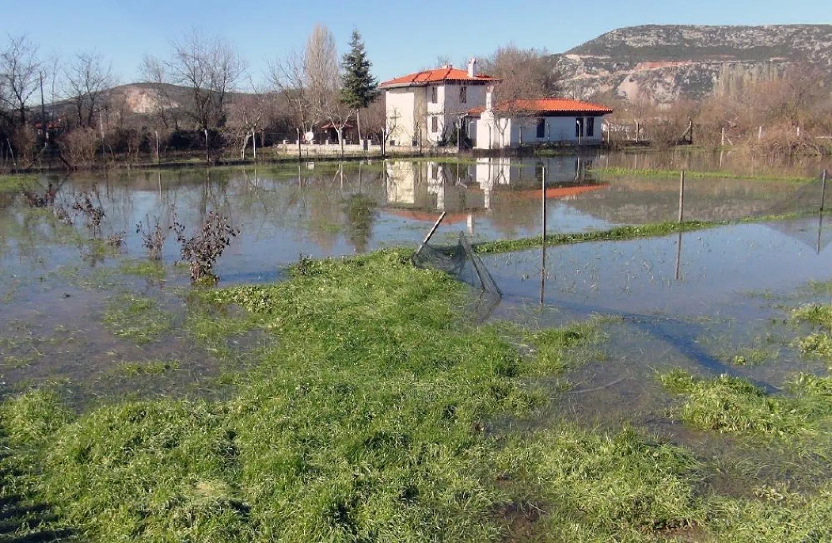 Muğla'da son yağışlar çiftçiyi sevindirdi