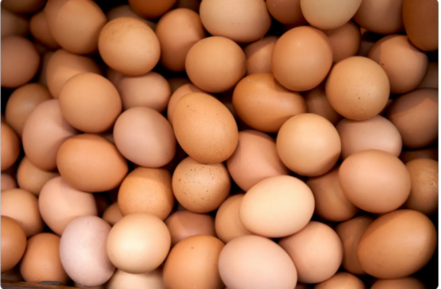 Yumurta fiyatlarına müdahale geldi! 1,5 dolarlık kesinti piyasayı rahatlattı