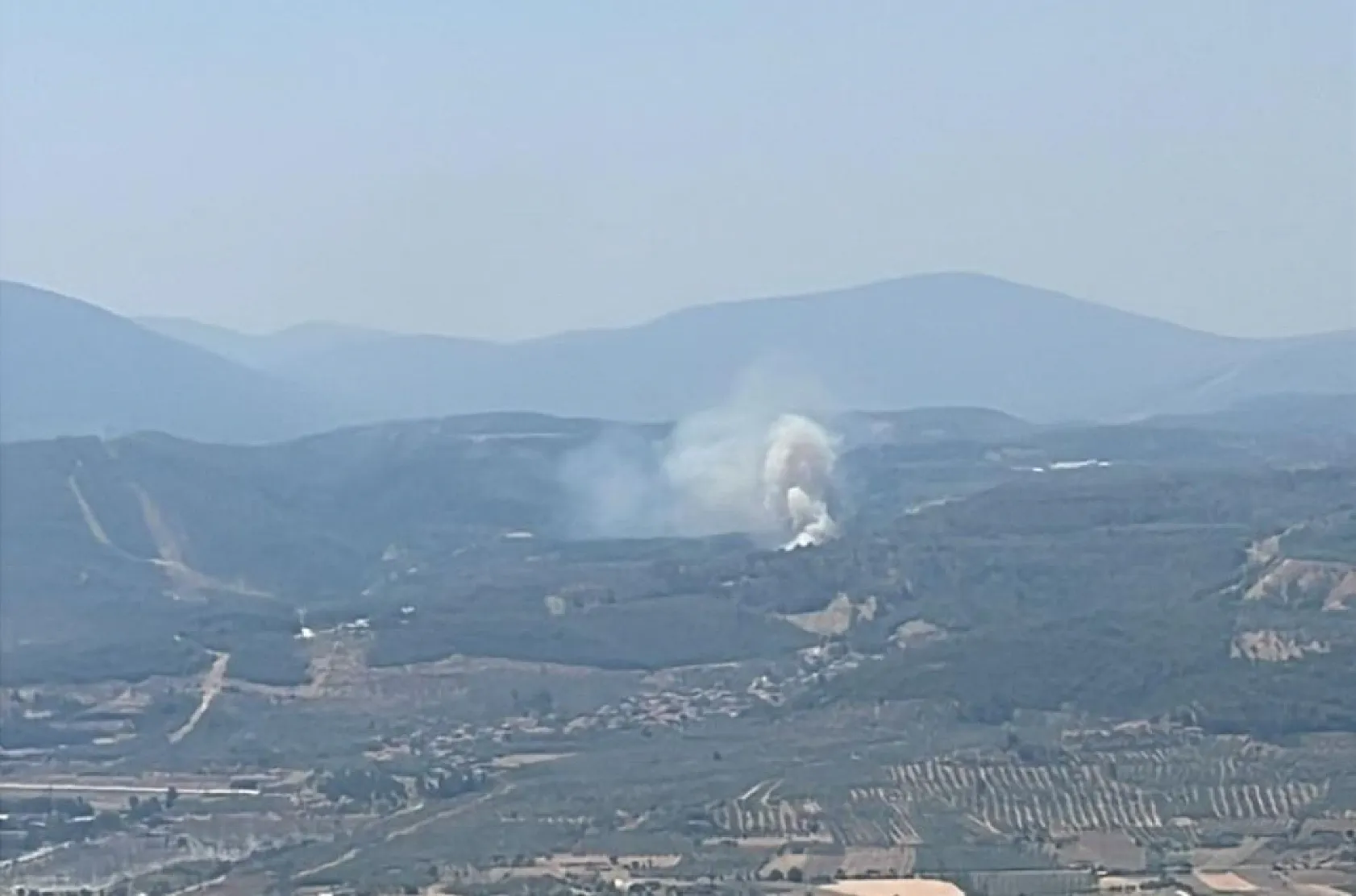 Muğla'da orman yangını