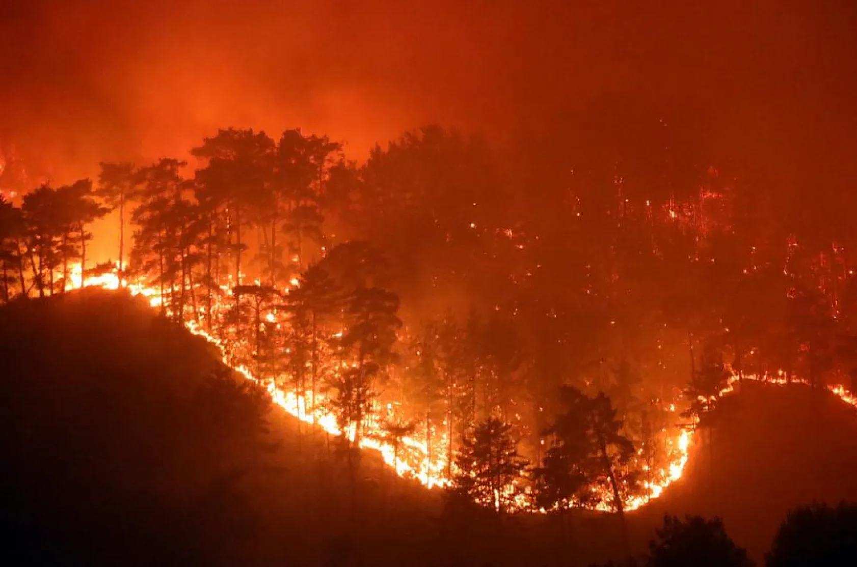 Muğla'da yaz sezonunda günde ortalama 6 yangına müdahale edildi
