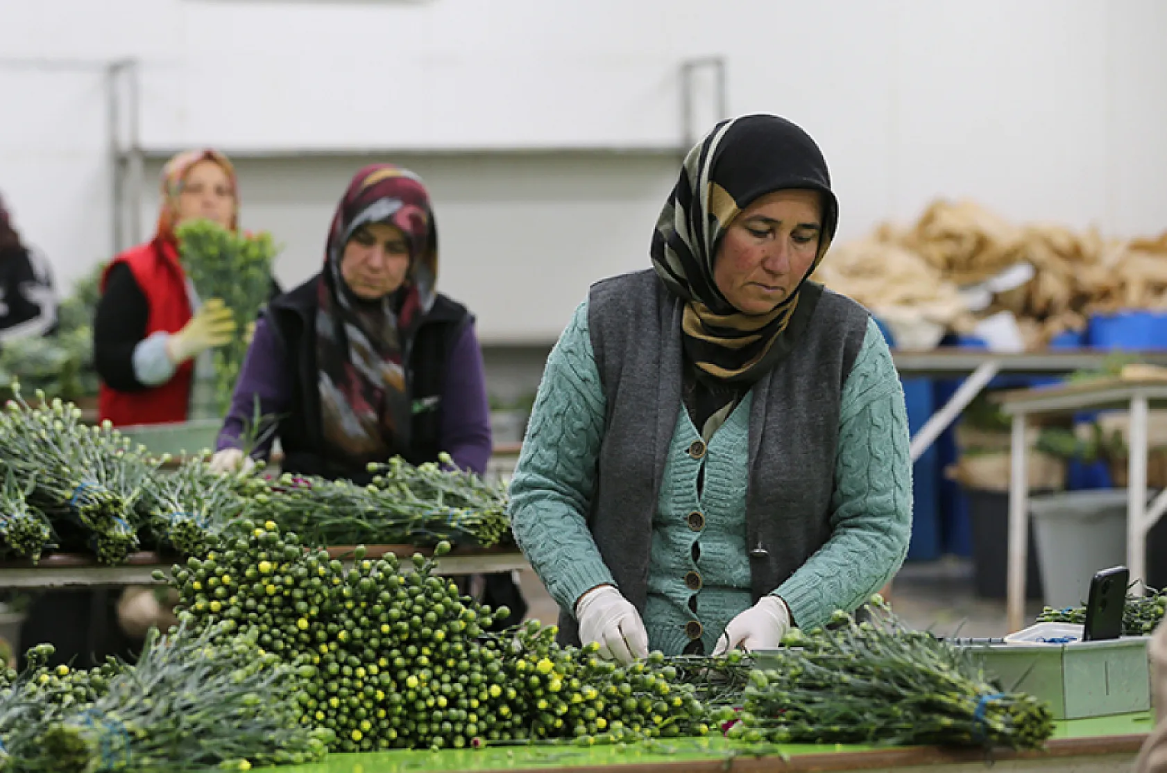 Dünya kadınlarına Türkiye'den 75 milyon dal çiçek