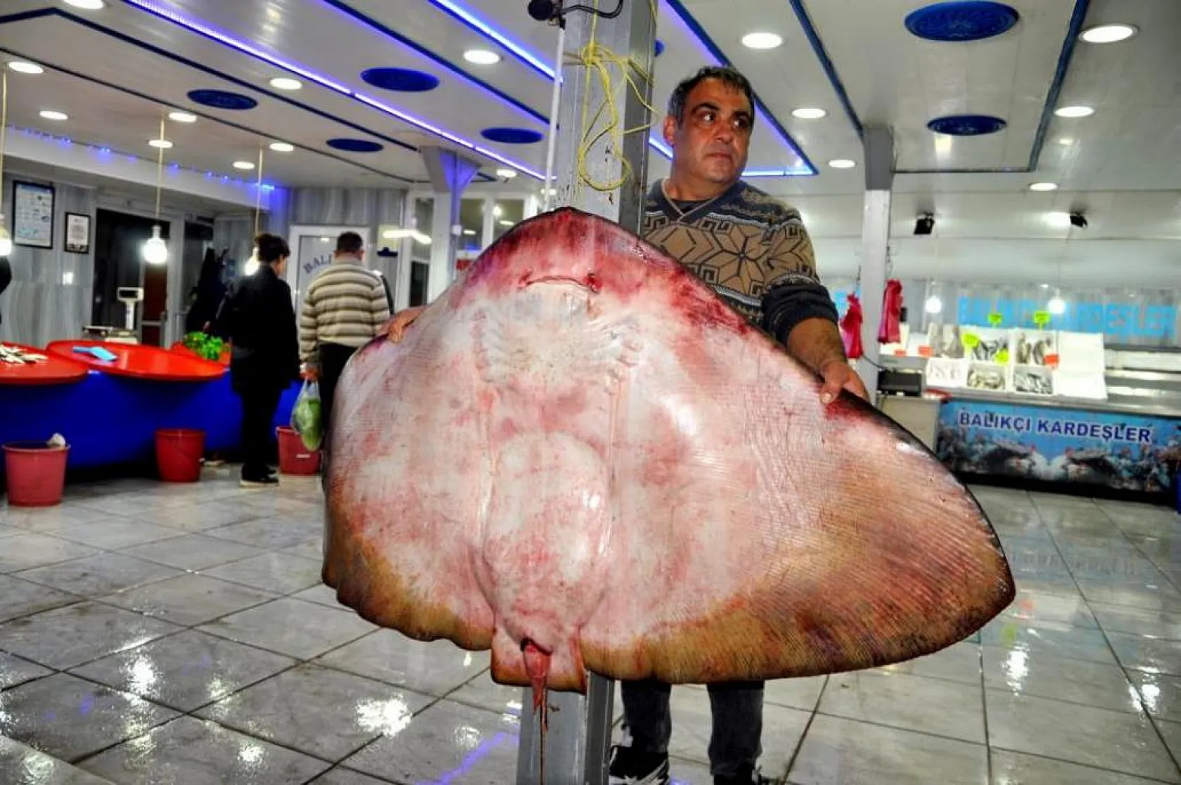 Muğla'da yakalanan vatoz balığı görenleri şaşırttı