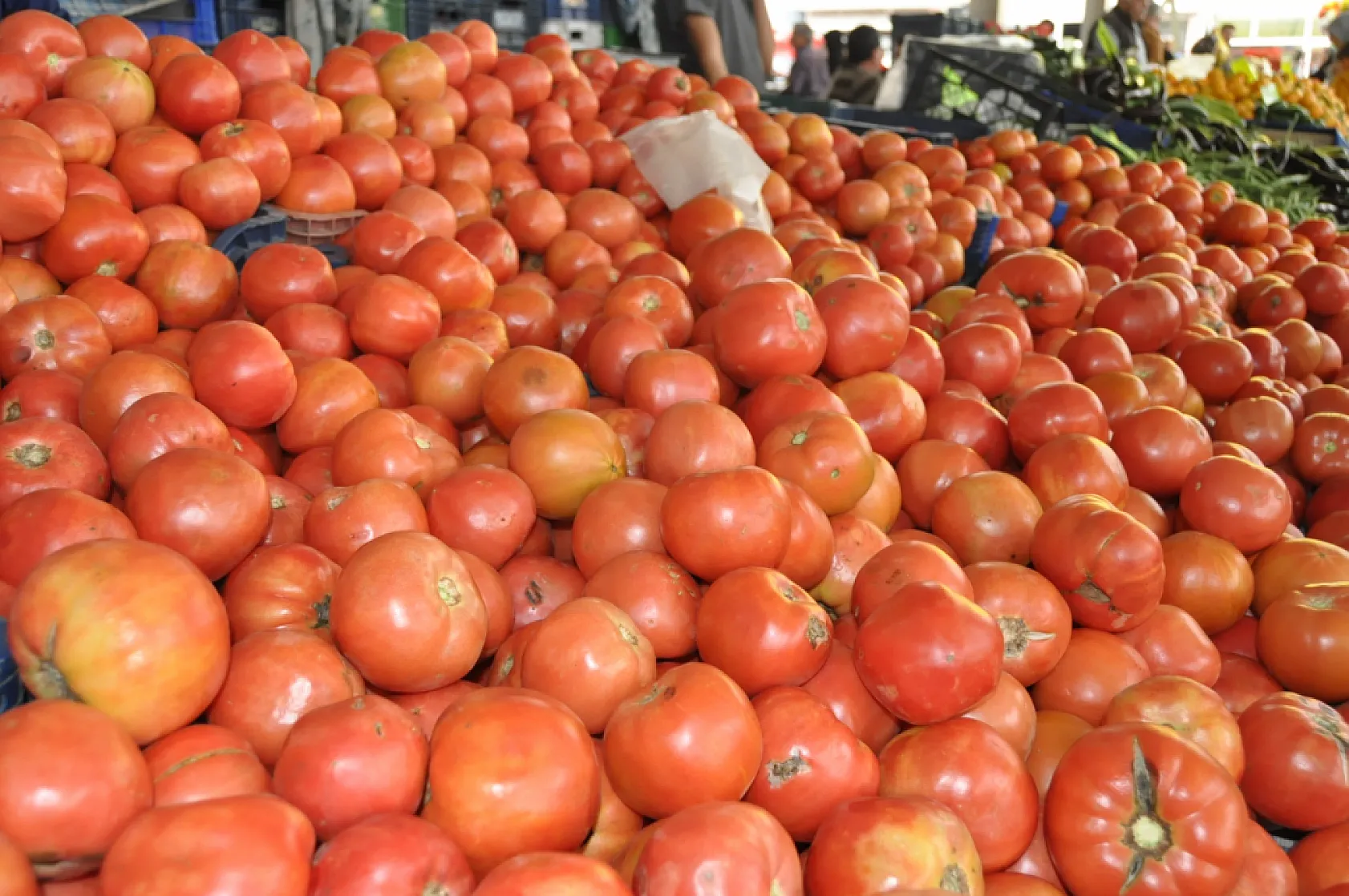Fethiye Cumartesi pazarında hareketlilik