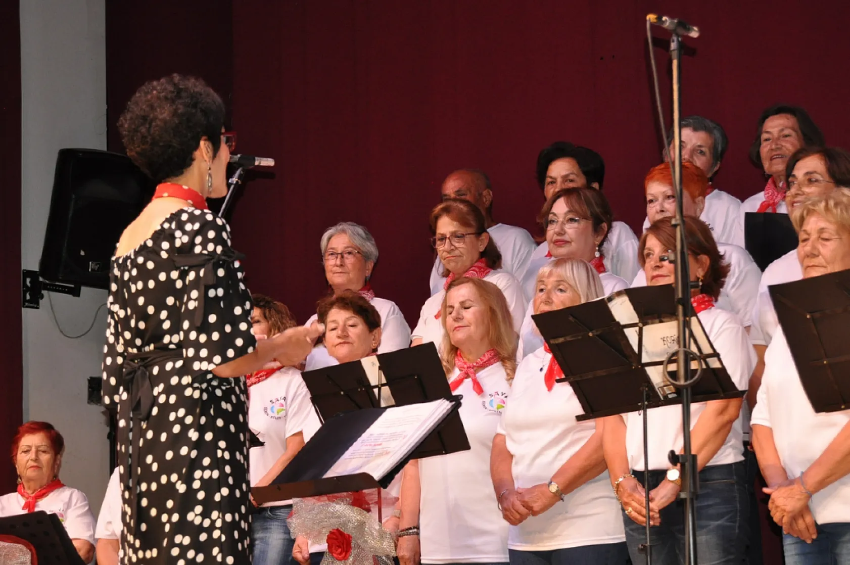 Fethiye'de SAYAP korosundan konser