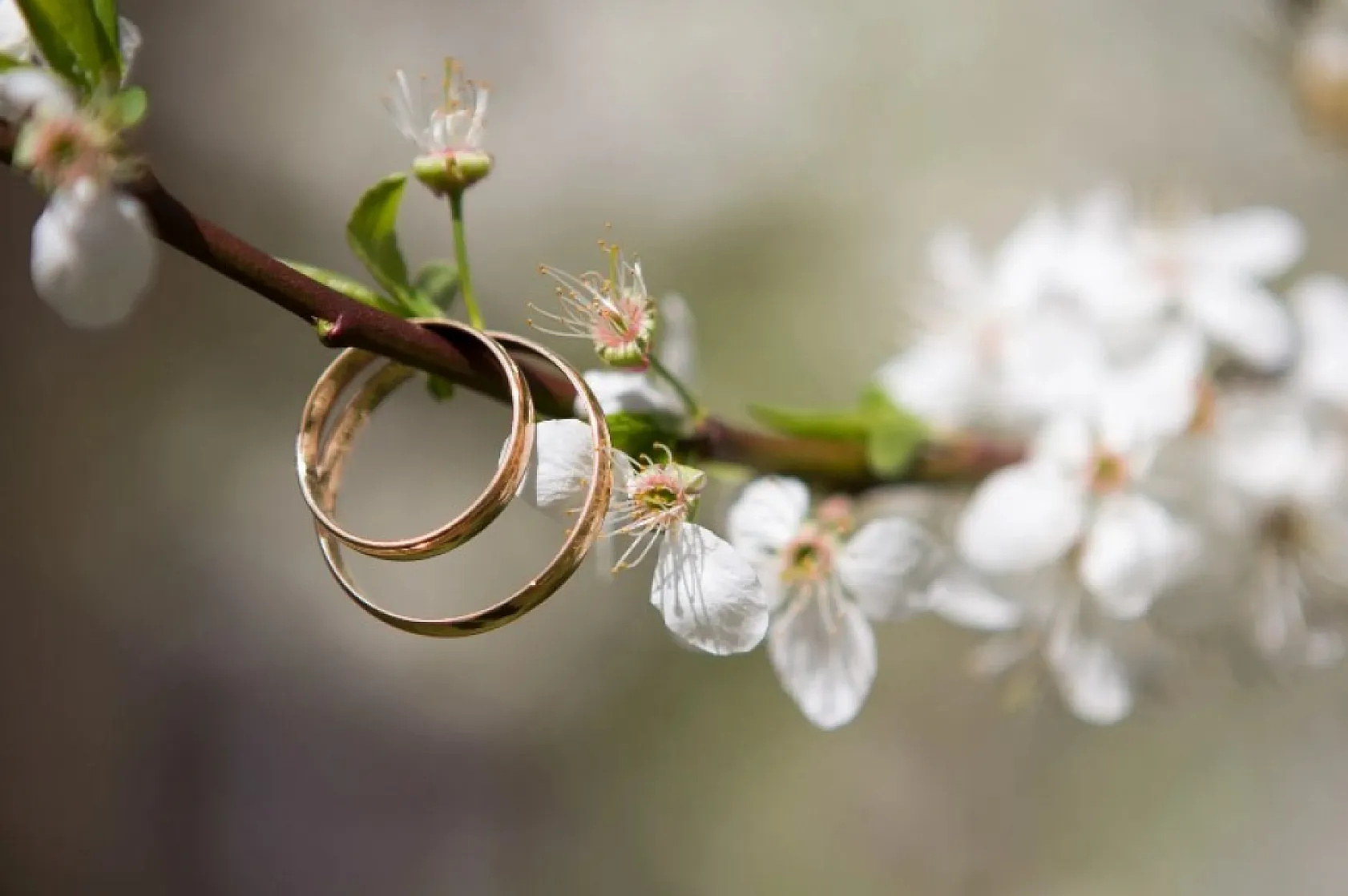 Evleneceklere kötü haber! O sektöre yüzde 70 diğerine yüzde 65 zam geçişi yapıldı