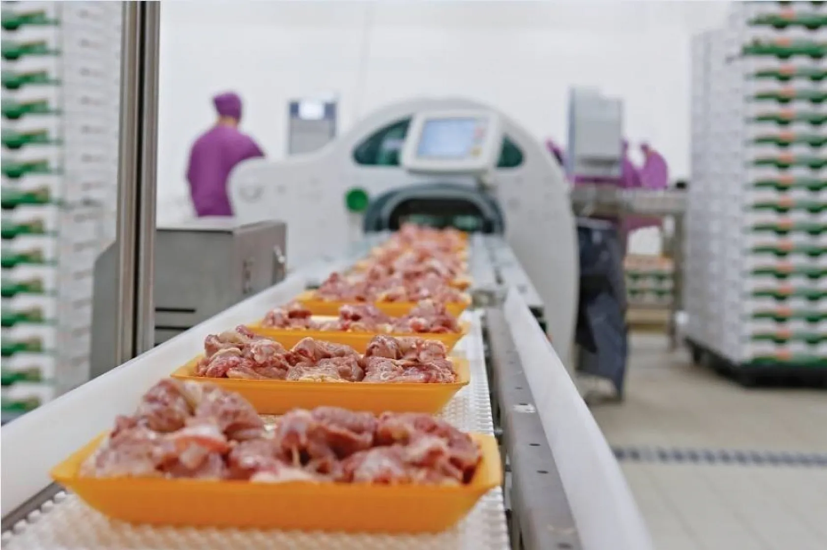 Türkiye'de kişi başına yılda 150 yumurta düşüyor
