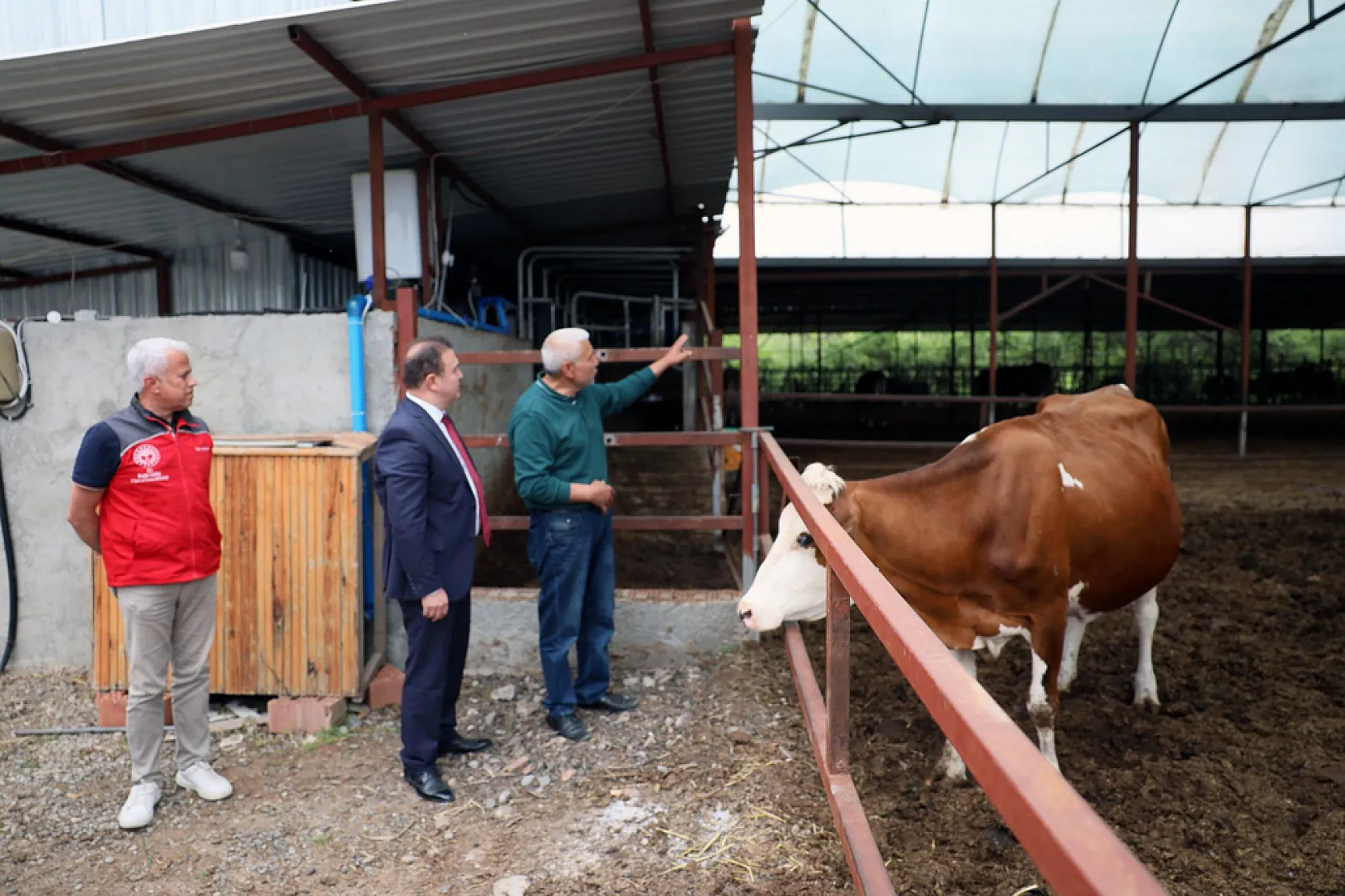 'Anneleri Aşılat, Buzağını Yaşat' projesi eğitim toplantısı Ortaca'da gerçekleştirildi