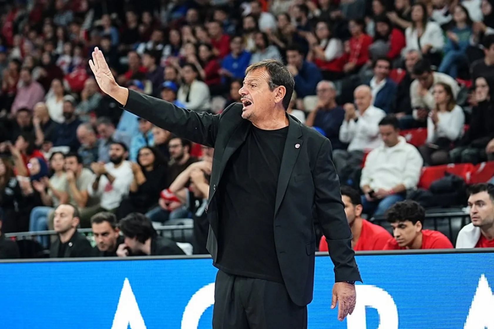 A Milli Takım, Avrupa Şampiyonası'na katılmayı garantiledi