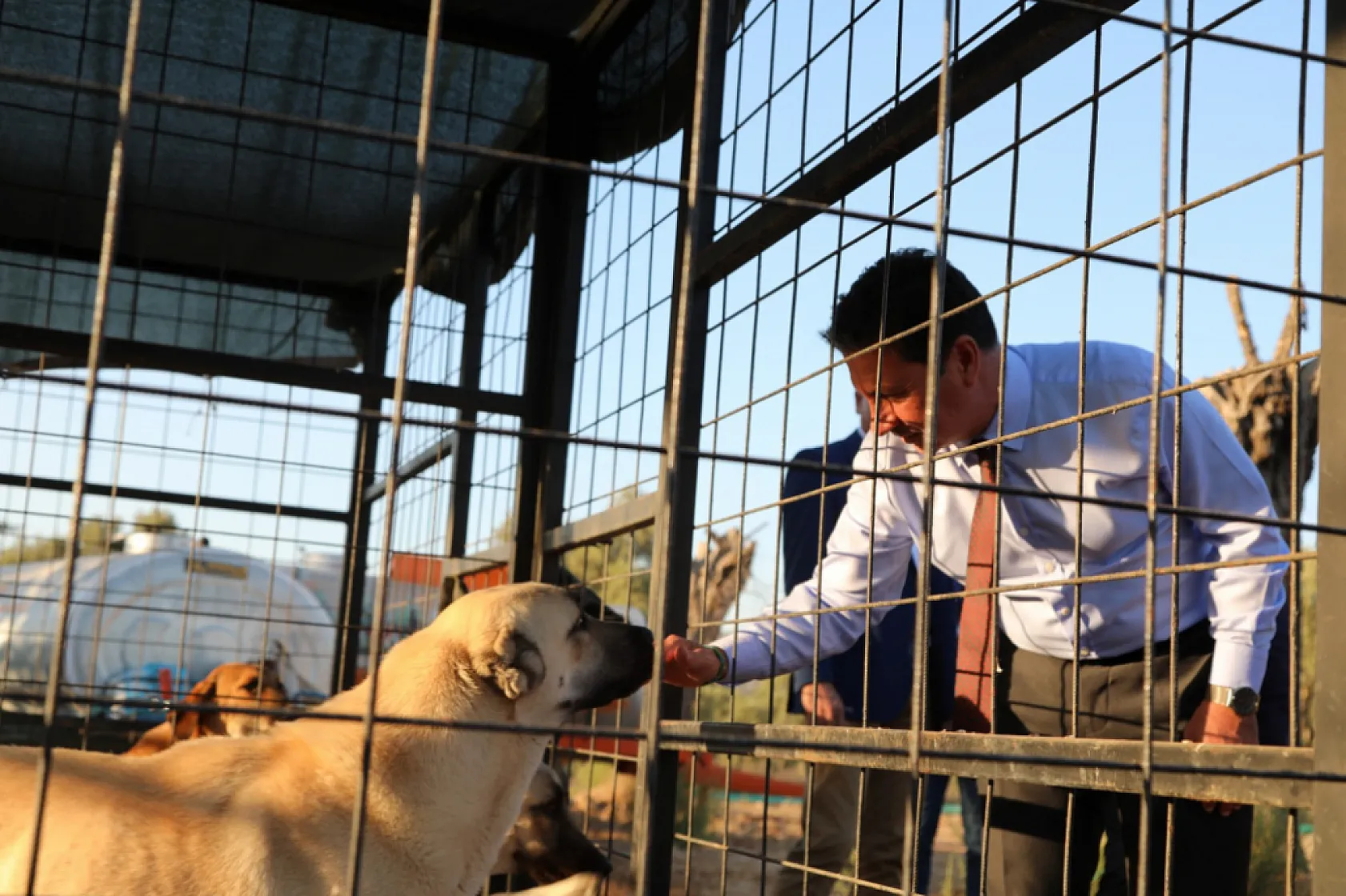 Büyükşehir Geçici Hayvan Bakımevi'nden 3 Bin 779 Can Dosta Yeni Yuva